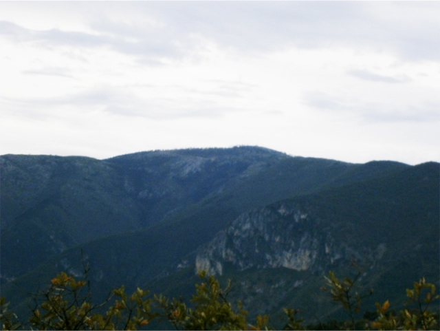 Vistas desde tu paseo a caballo